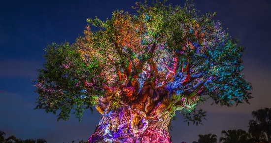 5 espetáculos noturnos do Walt Disney World para você assistir